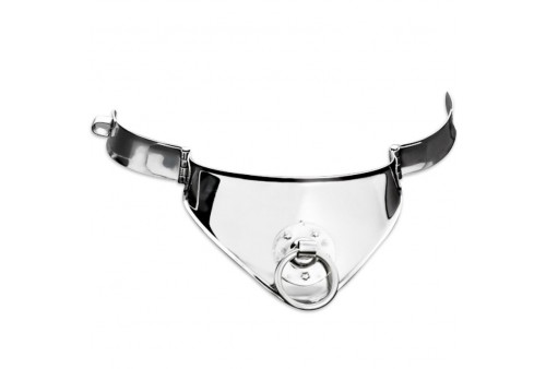 metal hard collar restriccion con anilla y candado 125 cm