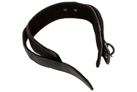 calex boundless collar con correa