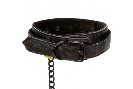 calex boundless collar con correa