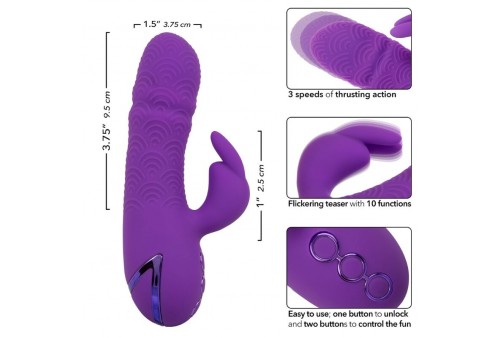 calexotics manhattan beach marvel vibrador rabbit morado by california dreaming