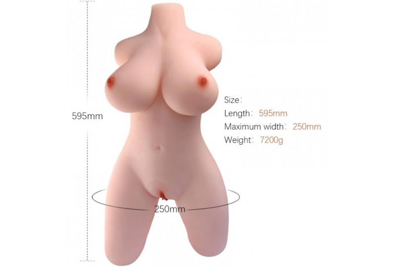 armony torso femenino realistico modelo 2