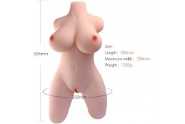 armony torso femenino realistico modelo 2