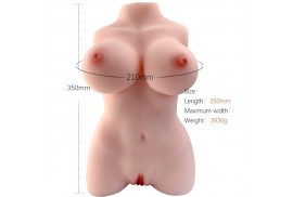 armony torso femenino realistico modelo 3