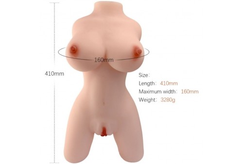 armony torso femenino realistico modelo 4