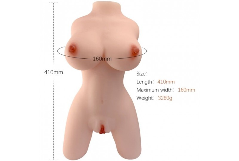 armony torso femenino realistico modelo 4