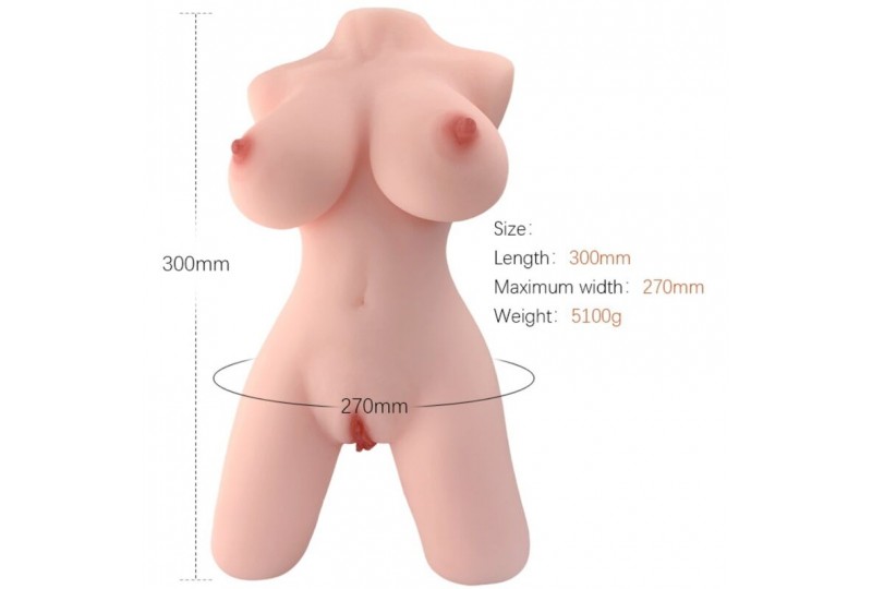 armony torso femenino realistico modelo 5