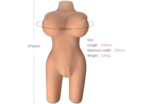 armony torso femenino realistico modelo 6