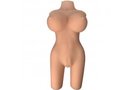 armony torso femenino realistico modelo 6