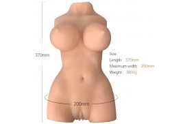 armony torso femenino realistico modelo 7