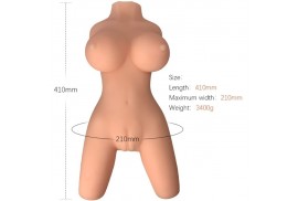 armony torso femenino realistico modelo 8