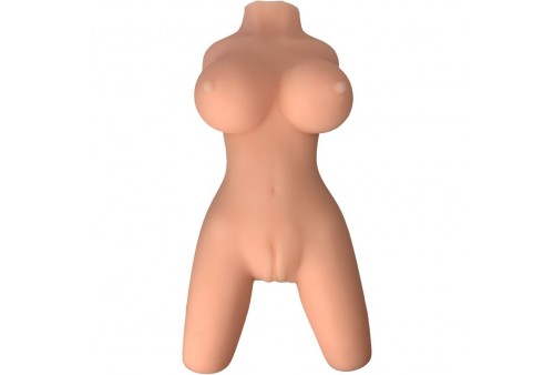 armony torso femenino realistico modelo 8